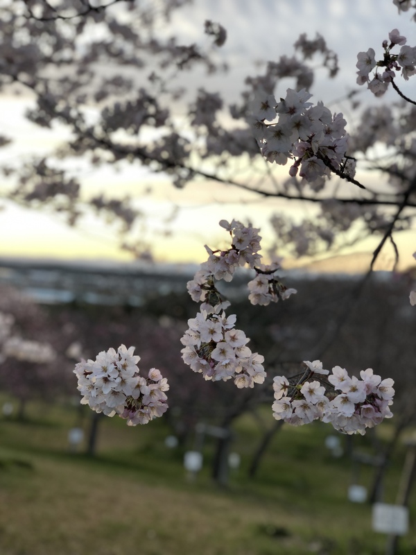 IMG_2806.JPGのサムネイル画像のサムネイル画像